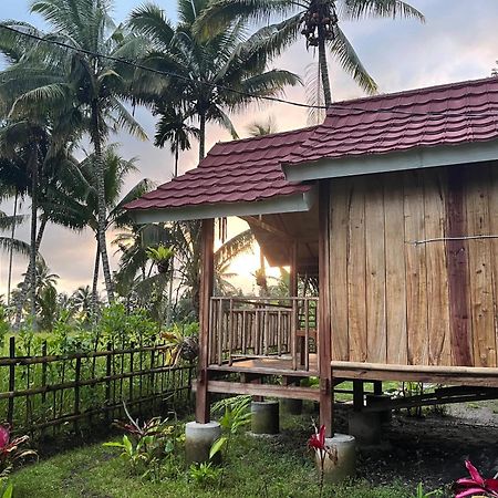 Syaqila Homestay Lombok Tetebatu Extérieur photo
