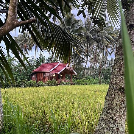 Syaqila Homestay Lombok Tetebatu Extérieur photo