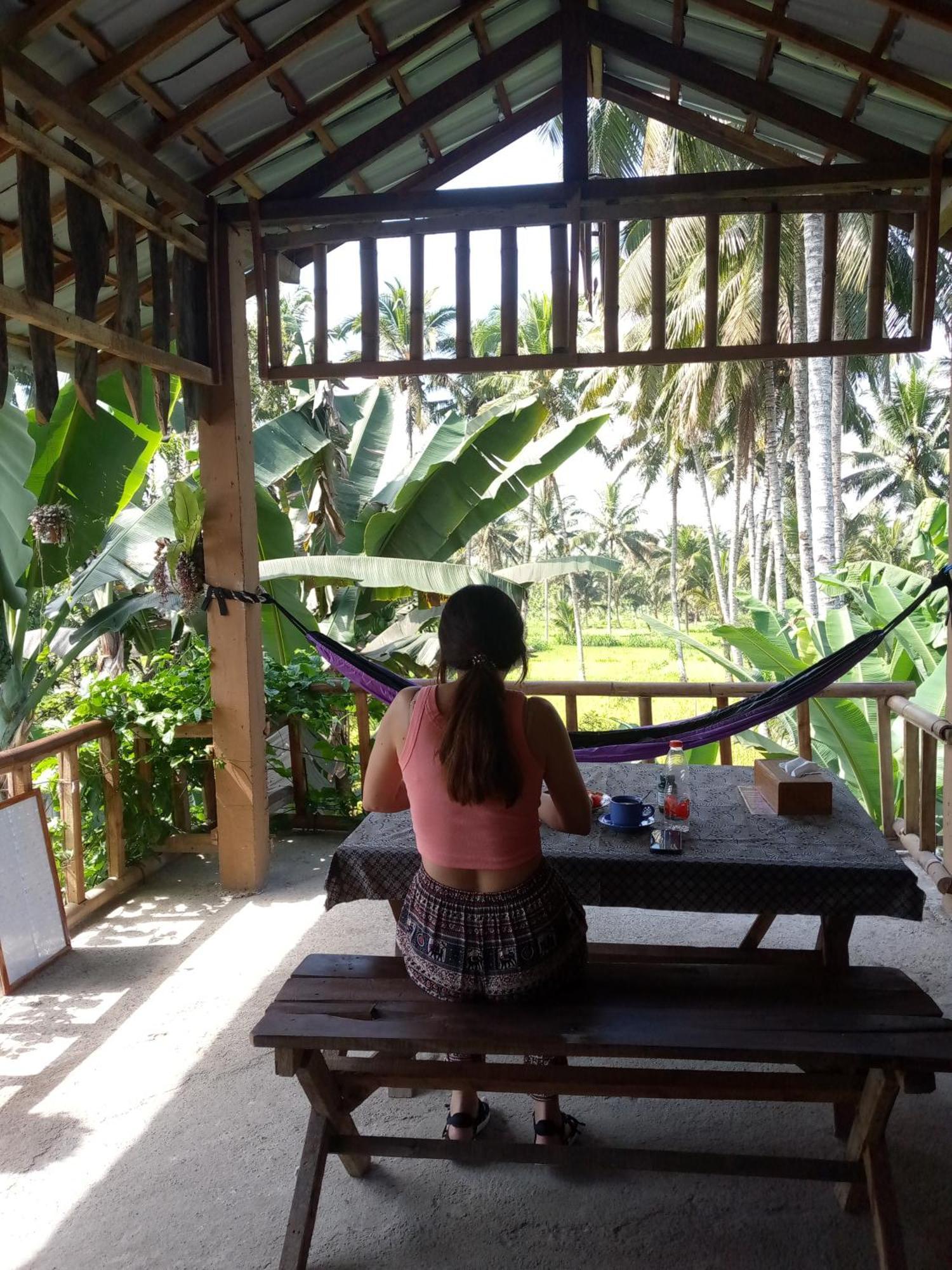 Syaqila Homestay Lombok Tetebatu Extérieur photo