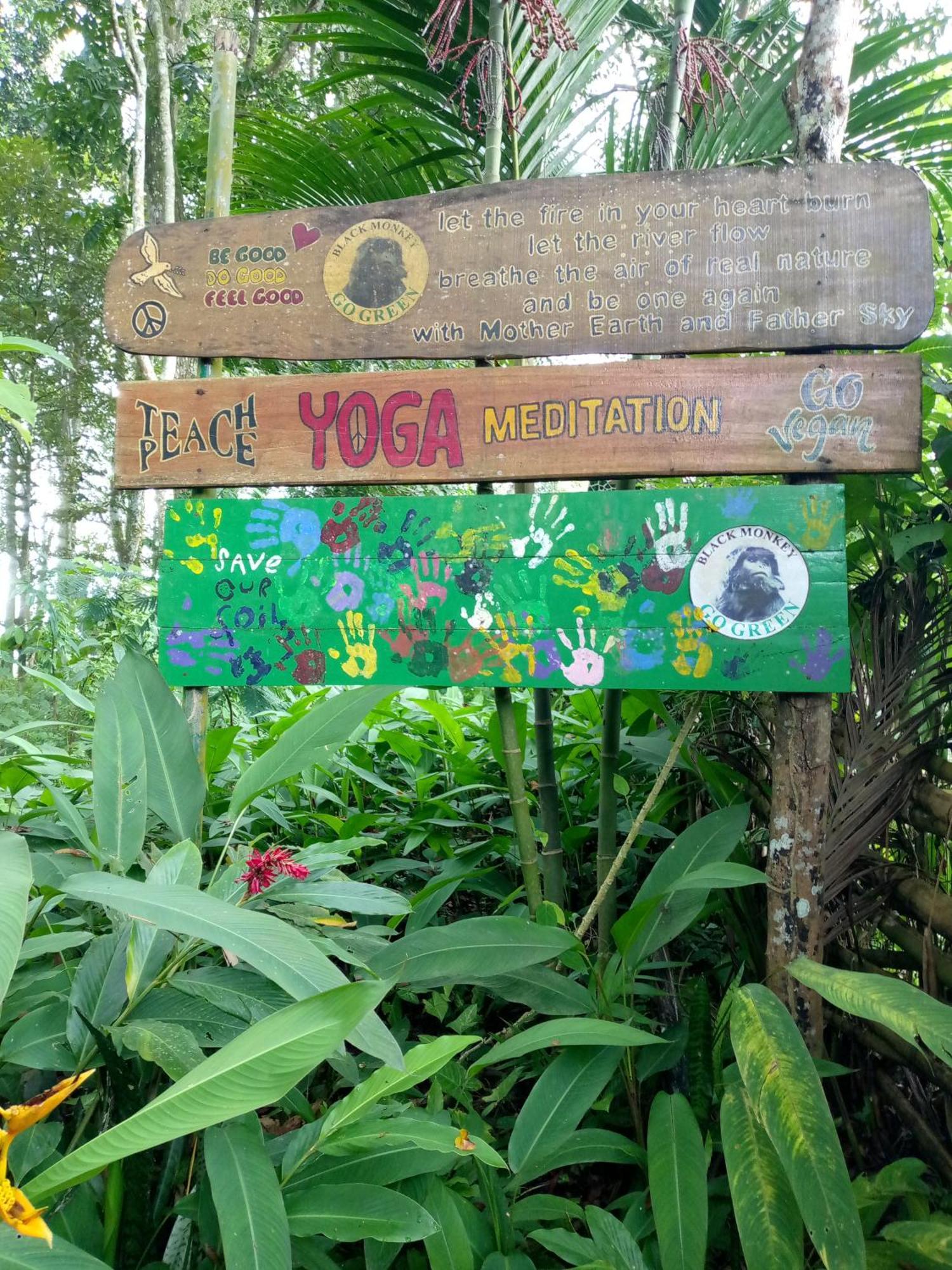 Syaqila Homestay Lombok Tetebatu Extérieur photo