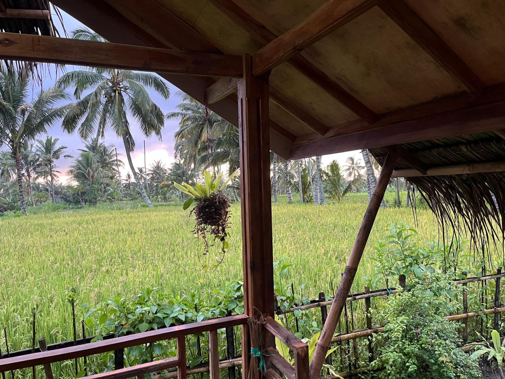 Syaqila Homestay Lombok Tetebatu Extérieur photo