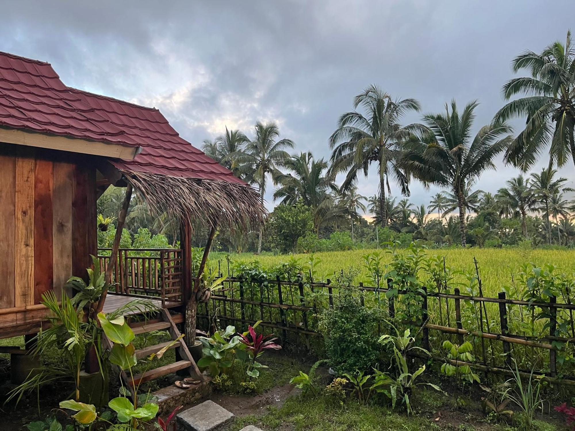 Syaqila Homestay Lombok Tetebatu Extérieur photo