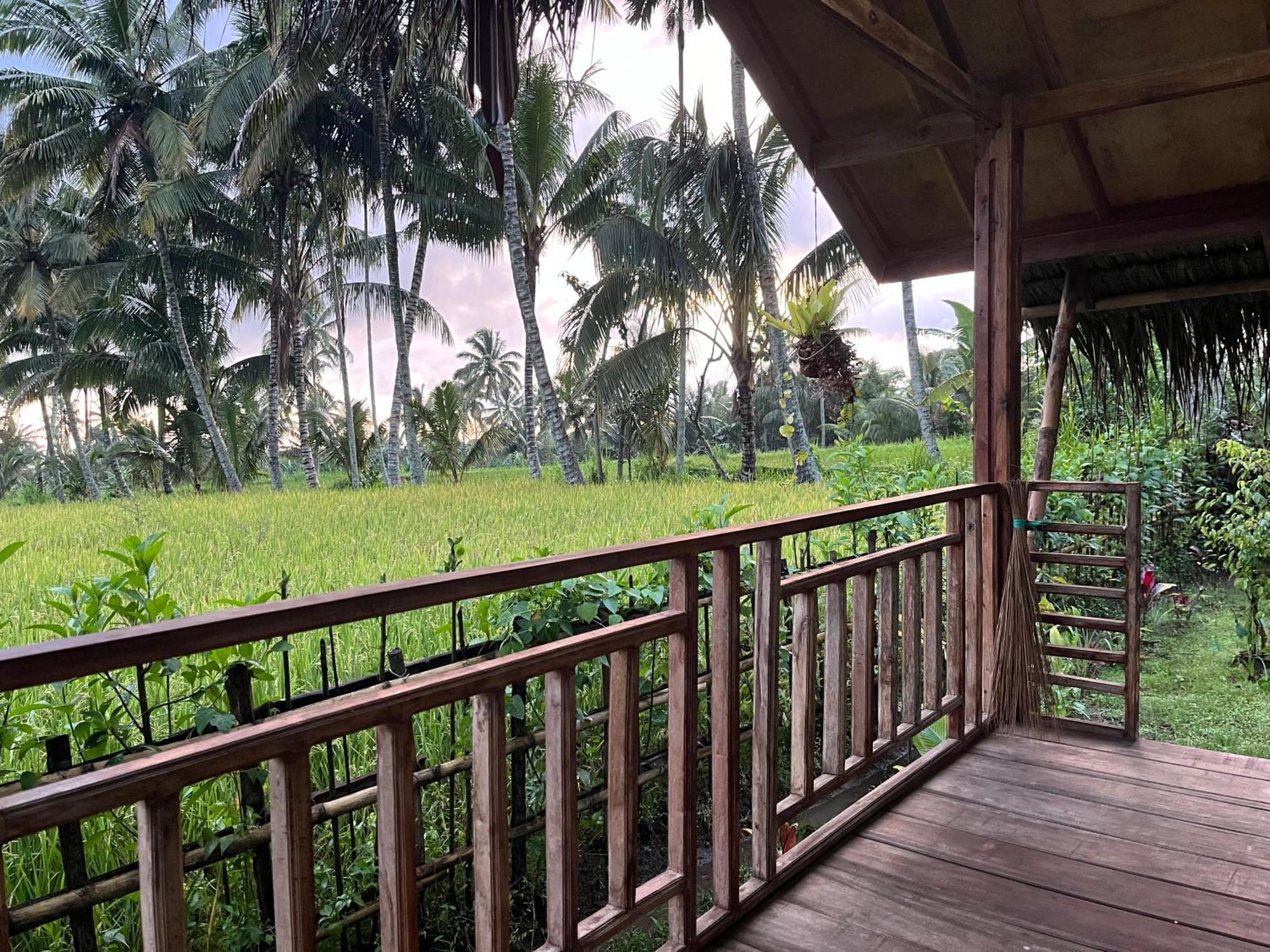 Syaqila Homestay Lombok Tetebatu Extérieur photo