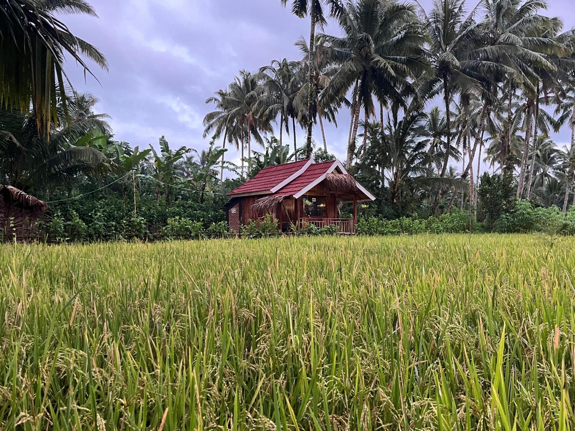 Syaqila Homestay Lombok Tetebatu Extérieur photo